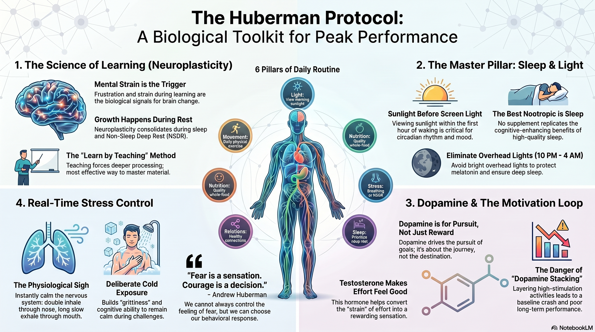 Infographic for "Lessons from Andrew Huberman".