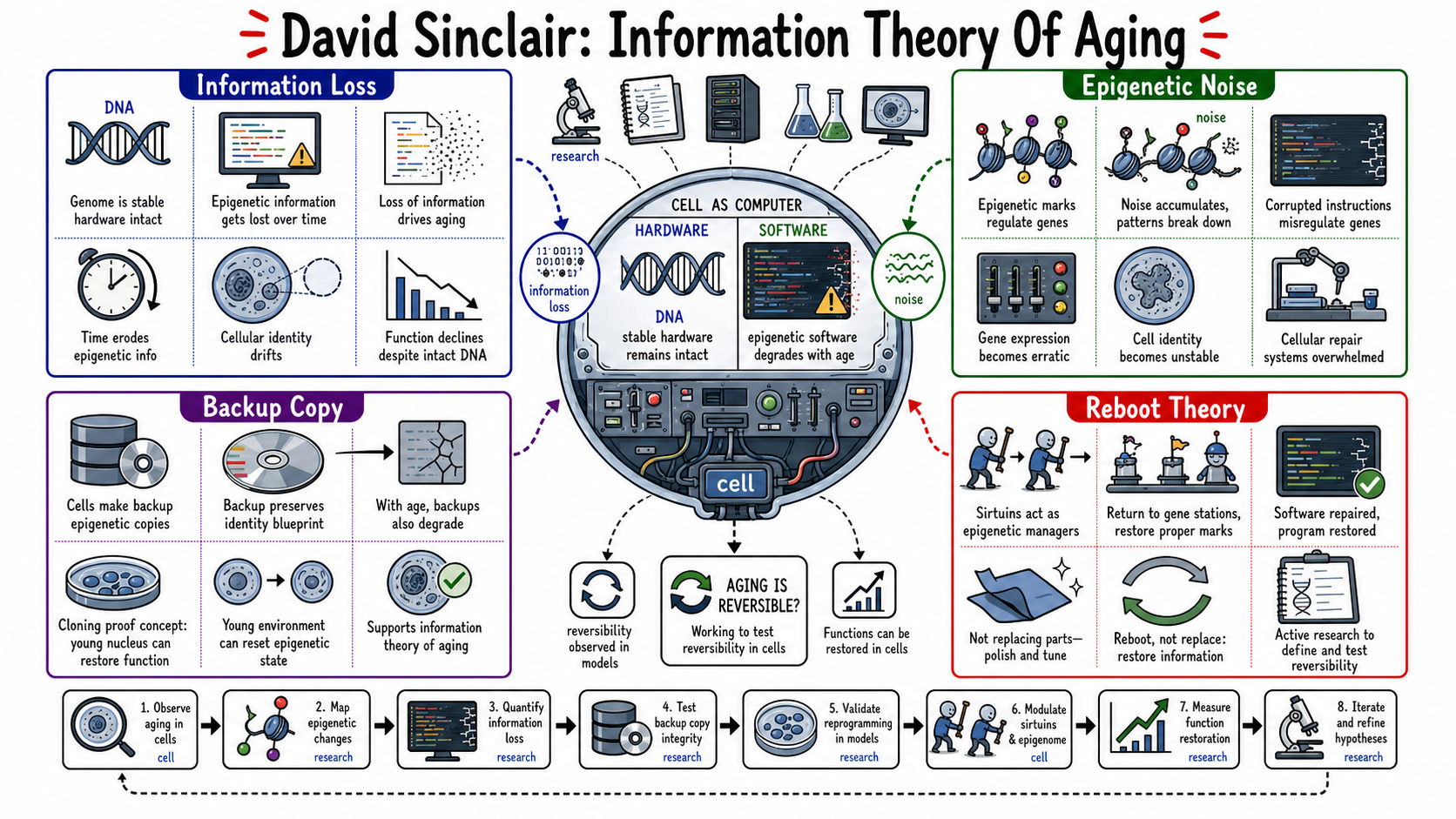Infographic for "Lessons from David Sinclair".