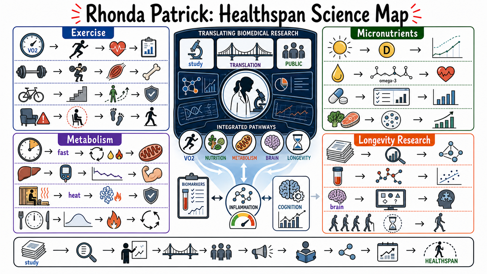 Infographic for "Lessons from Dr. Rhonda Patrick".