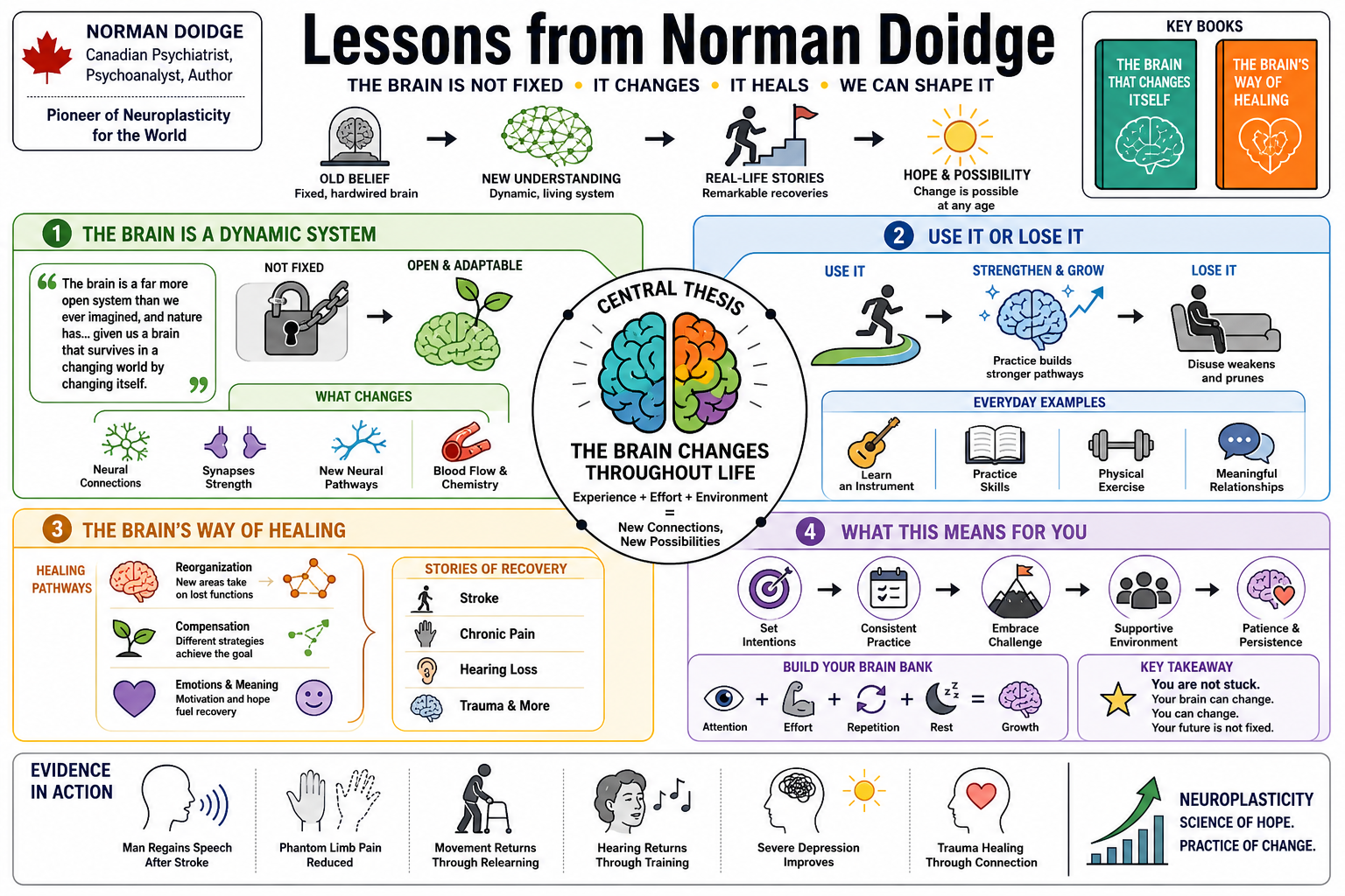 Infographic for "Lessons from Norman Doidge".