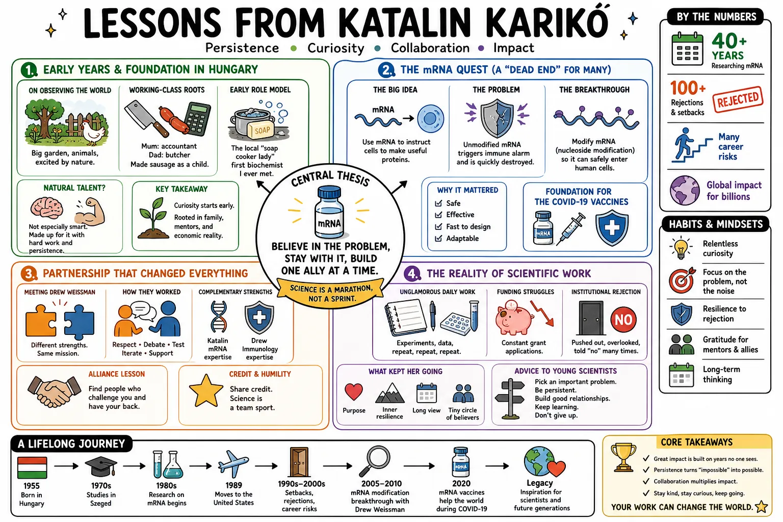 Visual summary of operating lessons from Katalin Kariko.