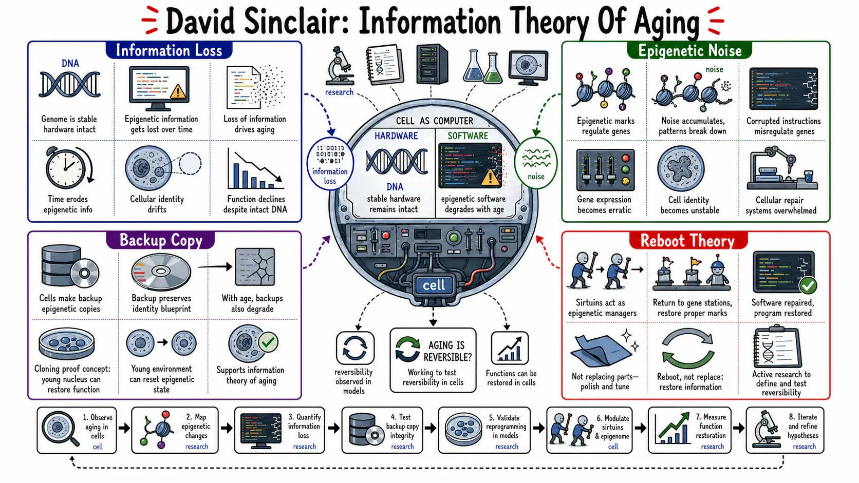 Infographic for "Lessons from David Sinclair".